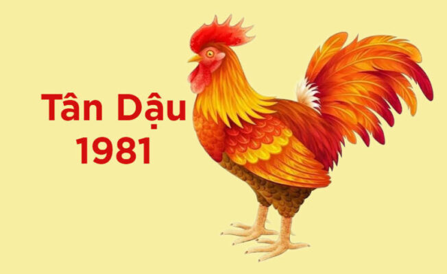 Phân tích phong thủy và bản mệnh tuổi Tân Dậu 1981